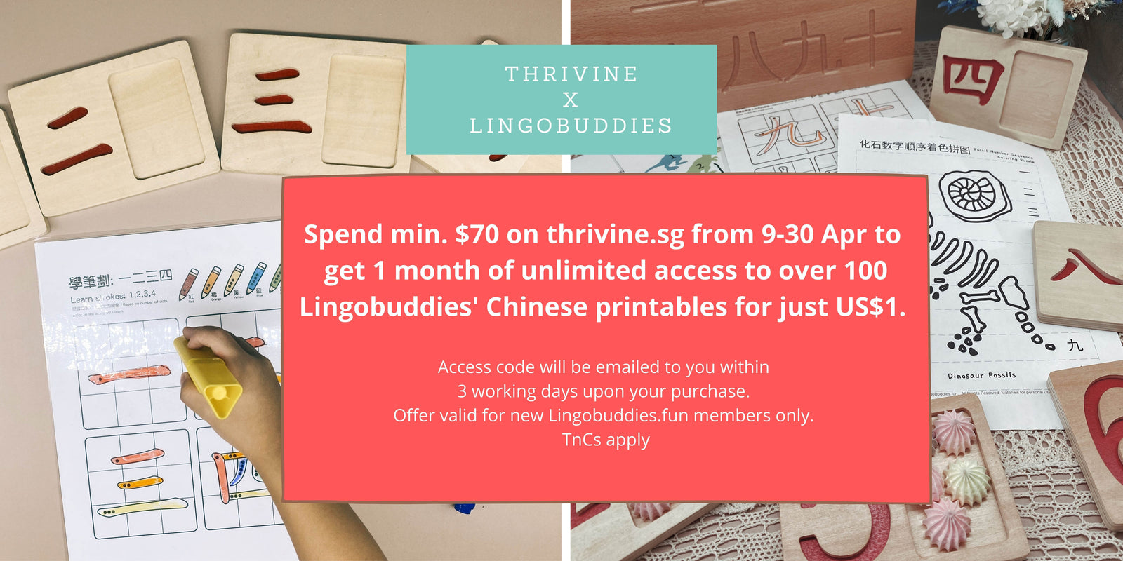 
                Lingobuddies Chinese Printables x Thrivine Kids Exclusive Promotion
              