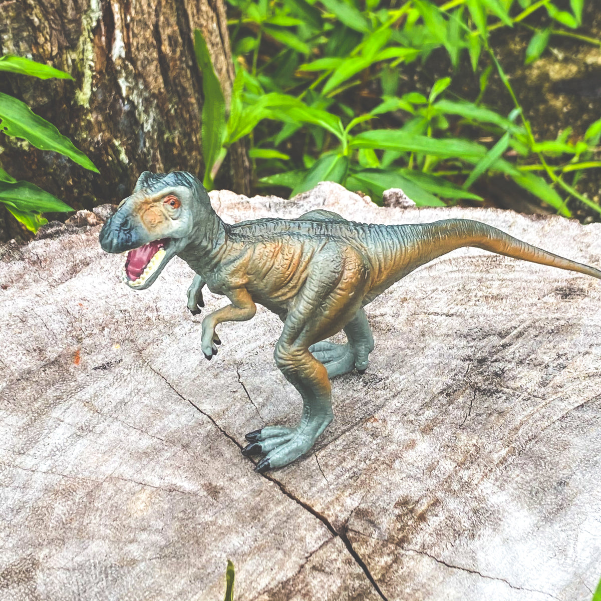 Neovenator Dinosaur figurine