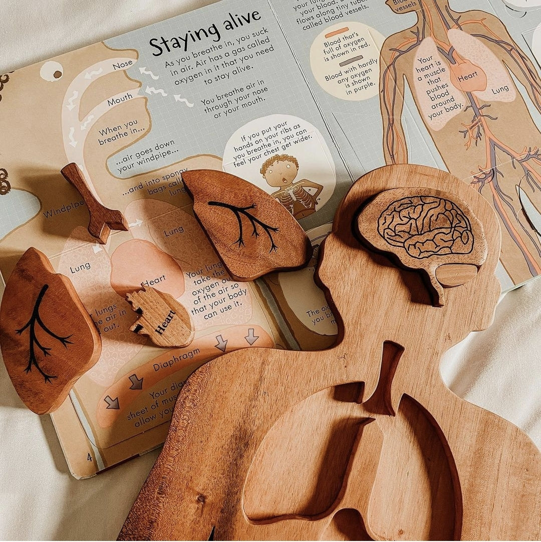 Wooden Body Anatomy Puzzle
