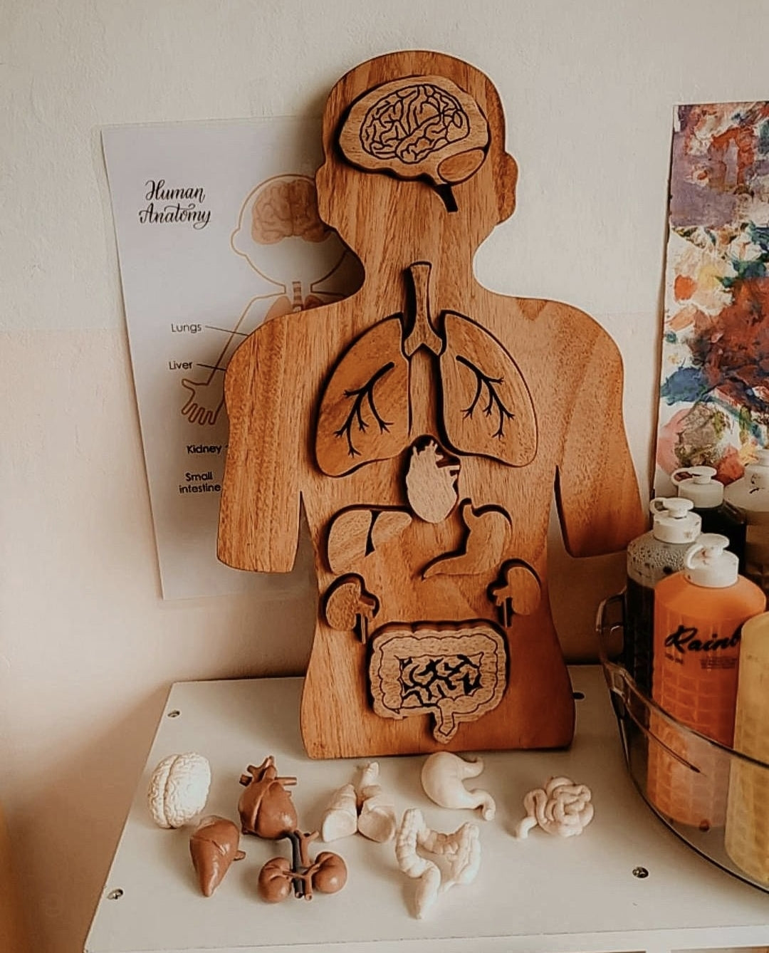 Wooden Body Anatomy Puzzle